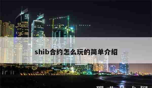 shib合约怎么玩的简单介绍