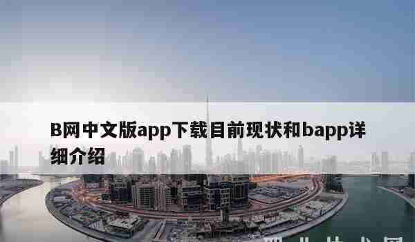 B网中文版app下载目前现状和bapp详细介绍