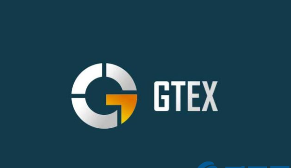 GTEX是什么币？GTEX币简介及未来投资价值点评