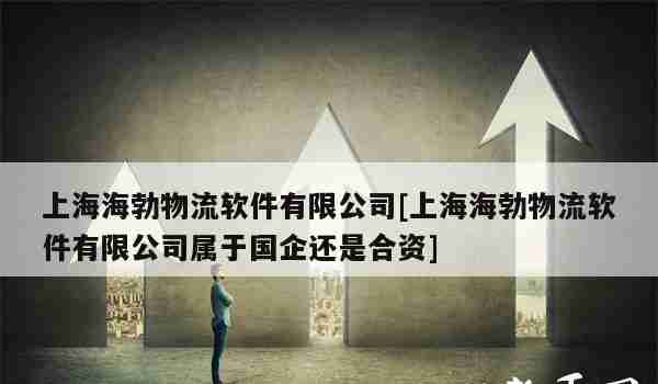 上海海勃物流软件有限公司[上海海勃物流软件有限公司属于国企还是合资]