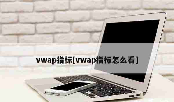 vwap指标[vwap指标怎么看]