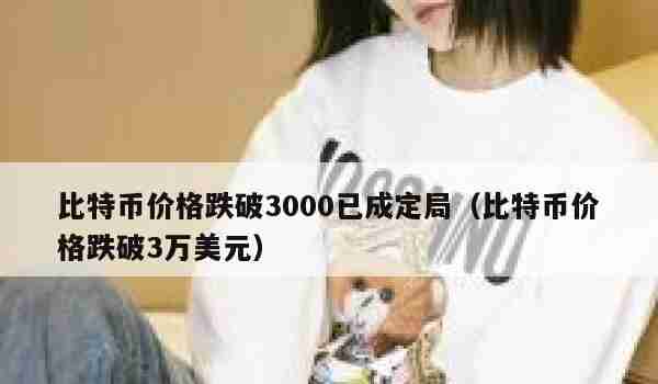 比特币价格跌破3000已成定局（比特币价格跌破3万美元）