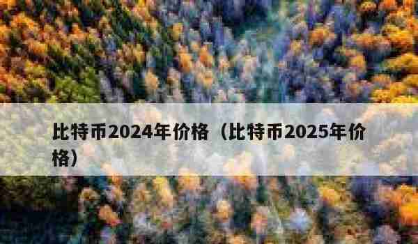 比特币2024年价格（比特币2025年价格）