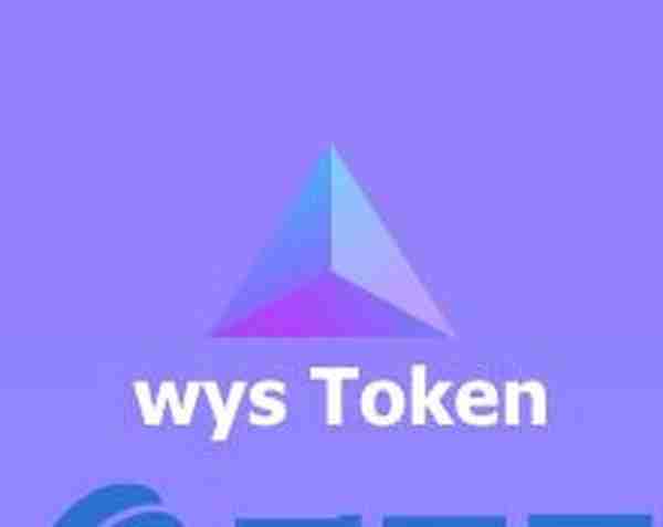 WYS币wysToken是什么？WYS官网、团队、白皮书介绍