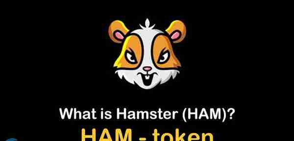 HAM是什么币种？一文了解仓鼠币HAM币