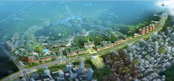 大场面！深圳10大交通重大项目同时开工！你见识过吗？