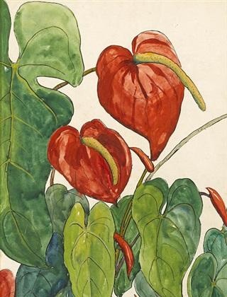 艺术 | 简·彼得森Jane Peterson (American, 1876–1965)绘画作品