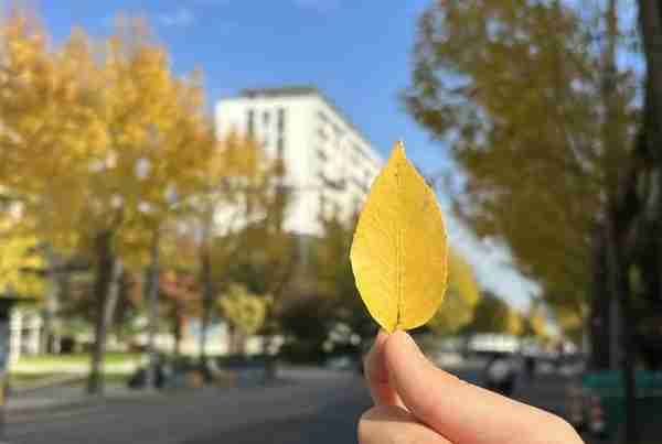 多图！一起来欣赏这美好季节的徐汇限定景色吧→