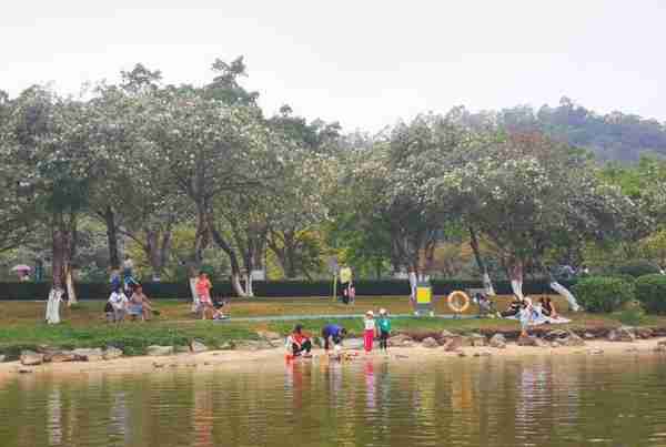 中秋节教师节相逢，番禺市民到大夫山森林公园共庆双节，感受大自然之美