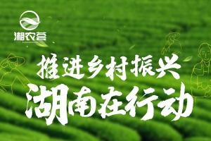 “视”微知“望”⑤丨 爷爷泡的茶，有一种味道叫“中茶”