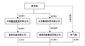 黄光裕资本版图复盘：这11年国美系经历了什么？