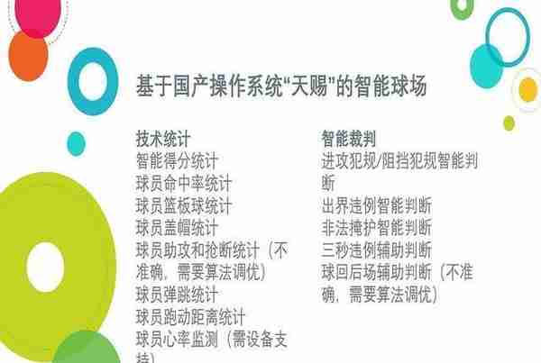 汉芯一号、木兰语言再到天赐OS，国产基础软件十年泣血，梦想何圆？