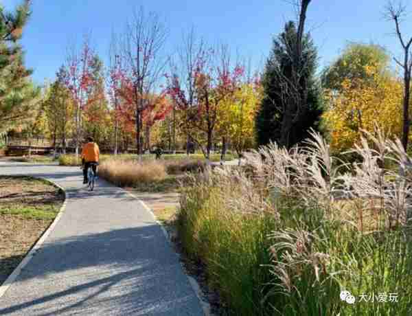 被秋天偏爱的小众公园藏着别样的秋水长天，特别美还免费
