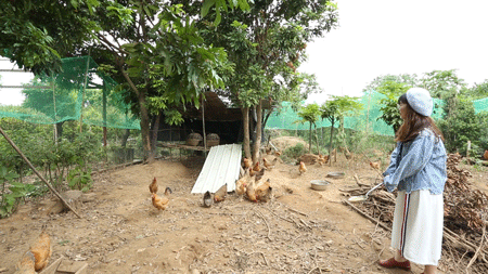 6年匠心打造的“隐世农庄”藏着金秋桂花鸡