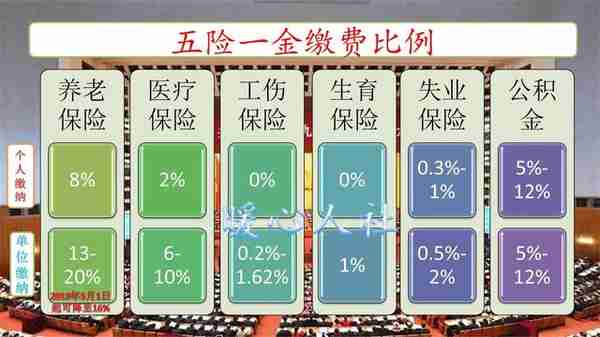 2023年，自谋职业人员参加社保和公积金，怎样缴费最划算呢？