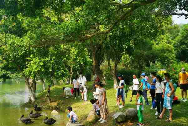 中秋节教师节相逢，番禺市民到大夫山森林公园共庆双节，感受大自然之美