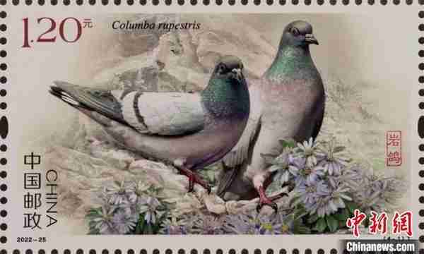 中国邮政正式发行《鸽》特种邮票