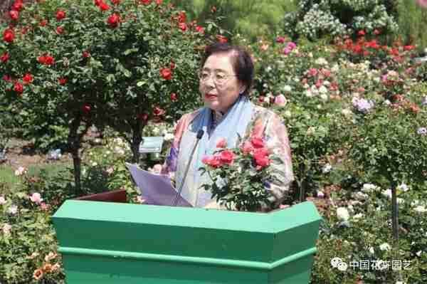 2023上海月季展开幕 辰山植物园获“世界优秀月季园”荣誉 | 动态