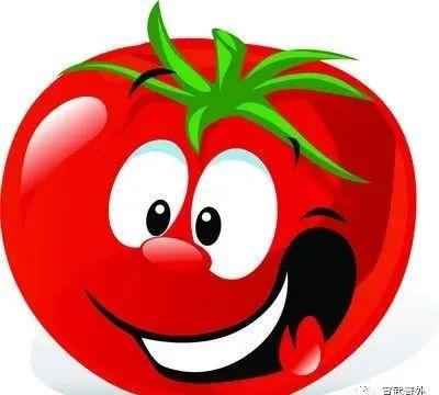 番茄您真的吃对了吗？