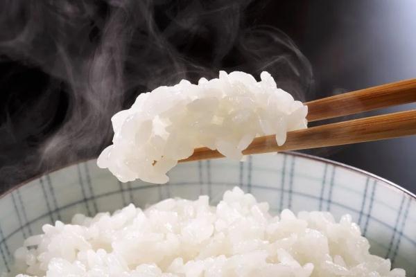 吃米vs吃面，哪个更容易胖？调查了 10万人的答案在这里