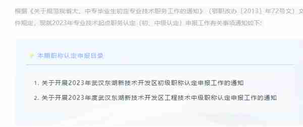 武汉东湖高新区职称认定申报开始了