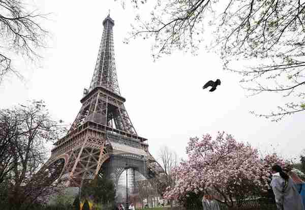 我在现场·照片背后的故事｜巴黎：春夏秋冬又一春