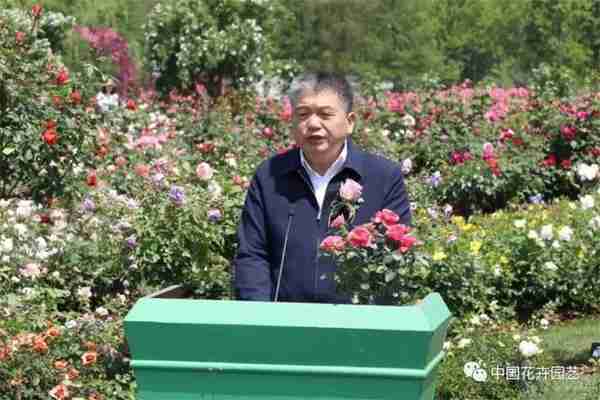 2023上海月季展开幕 辰山植物园获“世界优秀月季园”荣誉 | 动态
