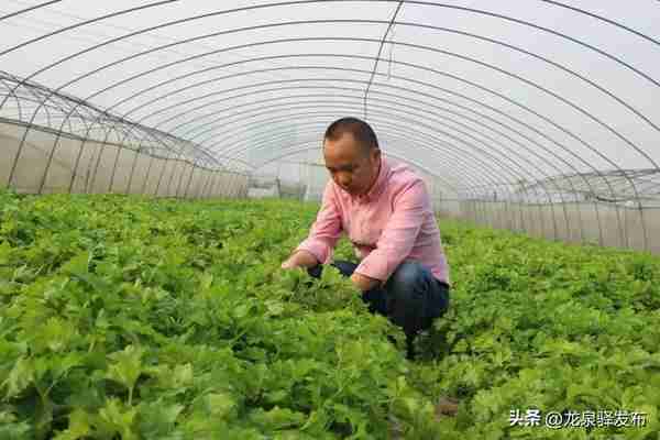 622名农业职业经理人，为龙泉驿乡村振兴夯实人才支撑！